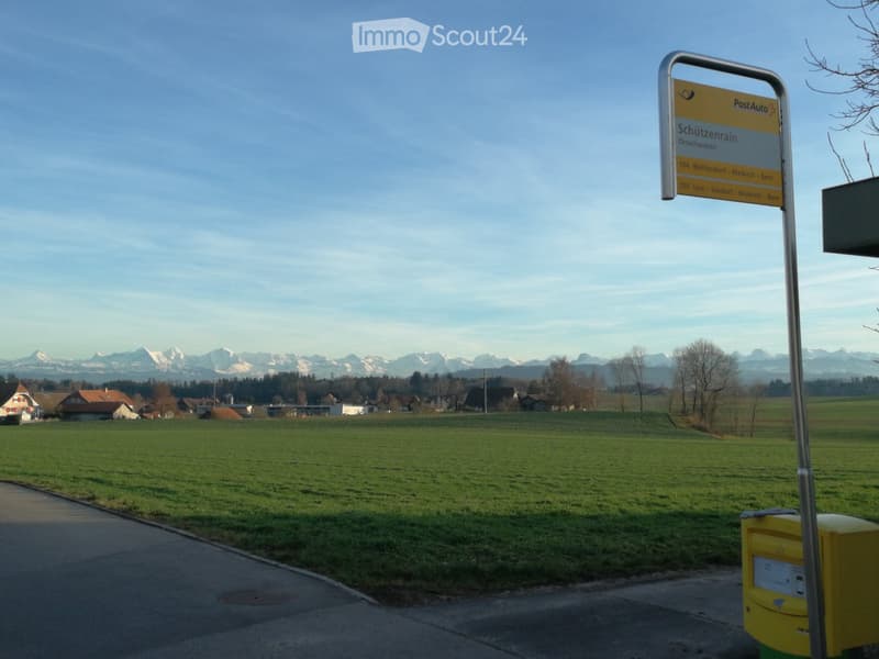 green field, houses, mountains in the background, a road, a signpost