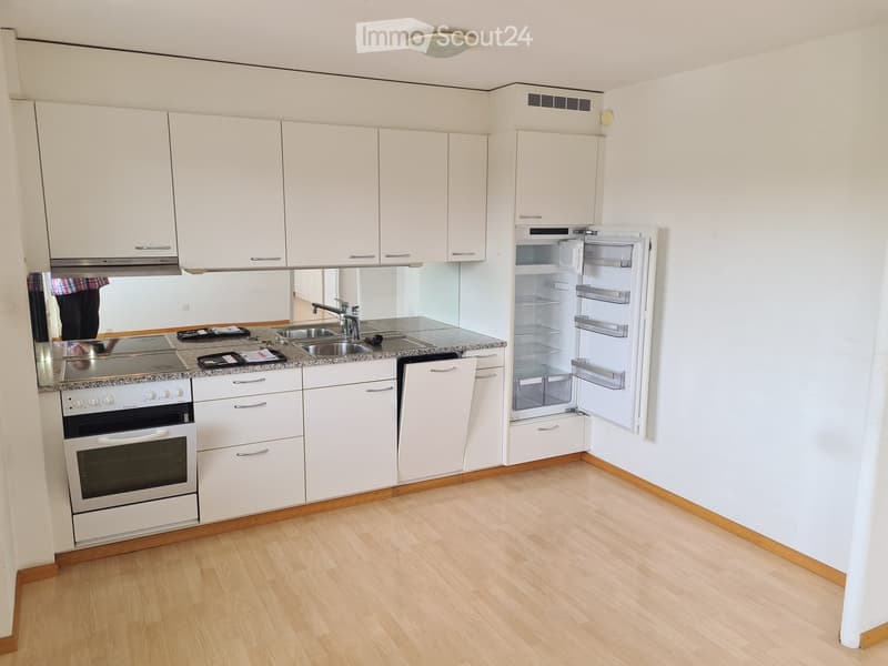 Modern kitchen with white cabinets, stainless steel appliances, granite countertop, and wooden flooring.