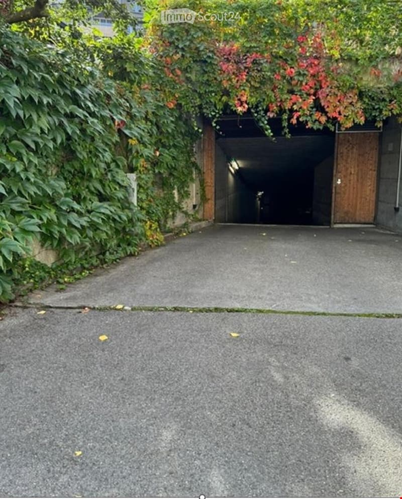 A driveway leading to a garage entrance, partially covered by climbing plants and foliage, with a wooden door visible on the right side.