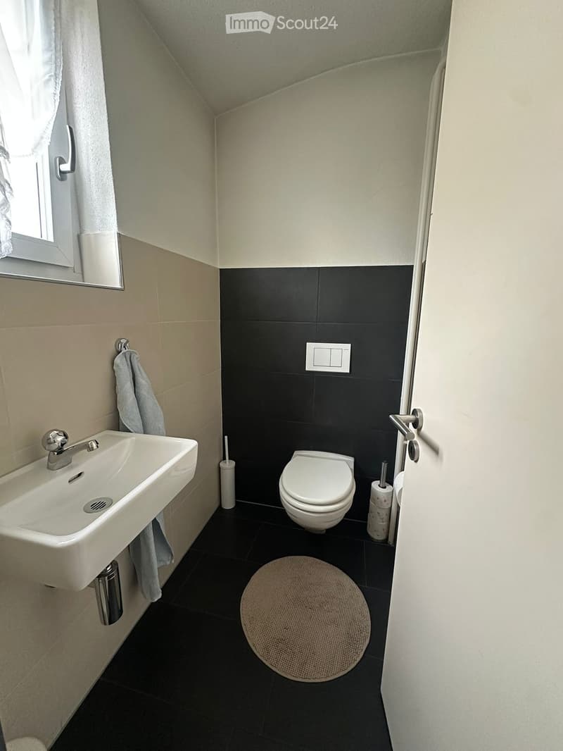 Modern bathroom with a white sink, chrome faucet, toilet, towel, and a round bathroom rug on the floor.