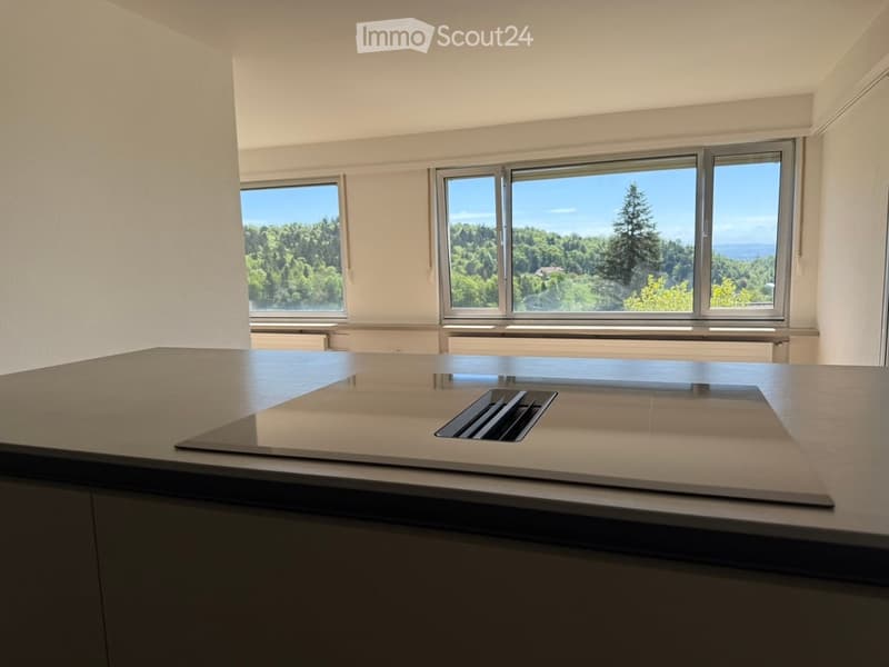 Modern kitchen with a sleek countertop and large windows offering a scenic view of a forested area.