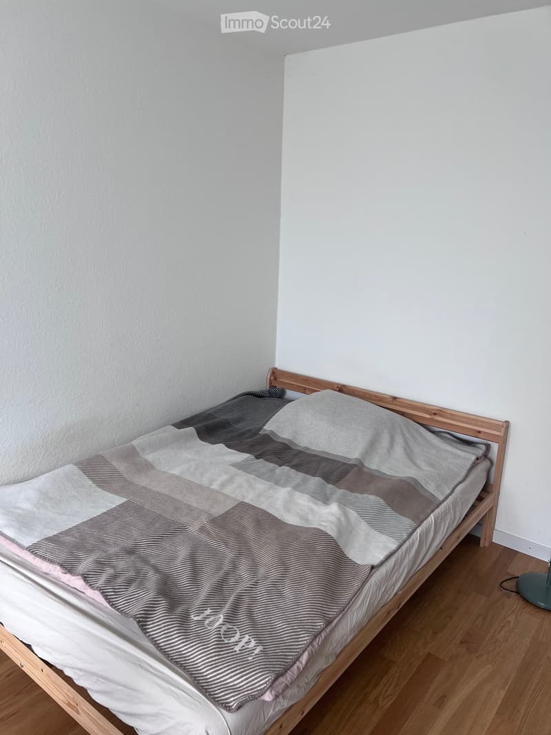 A small bedroom with a single wooden bed frame, a grey and white checkered blanket, and a light grey pillow. The room has light-colored walls and a wooden floor.