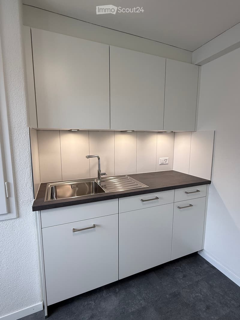 Appartamento accogliente, rinnovato di recente, 3 locali con balcone (6)
