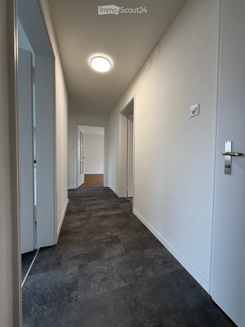 Appartamento accogliente, rinnovato di recente, 3 locali con balcone (4)