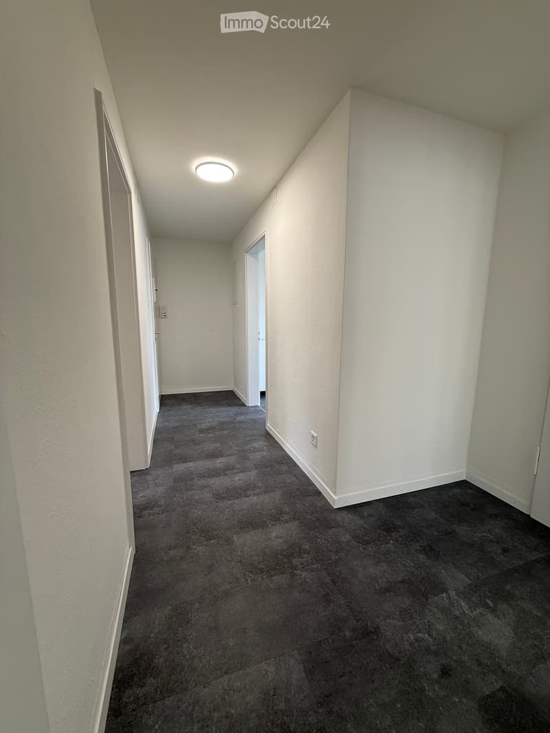 Appartamento accogliente, rinnovato di recente, 3 locali con balcone (12)