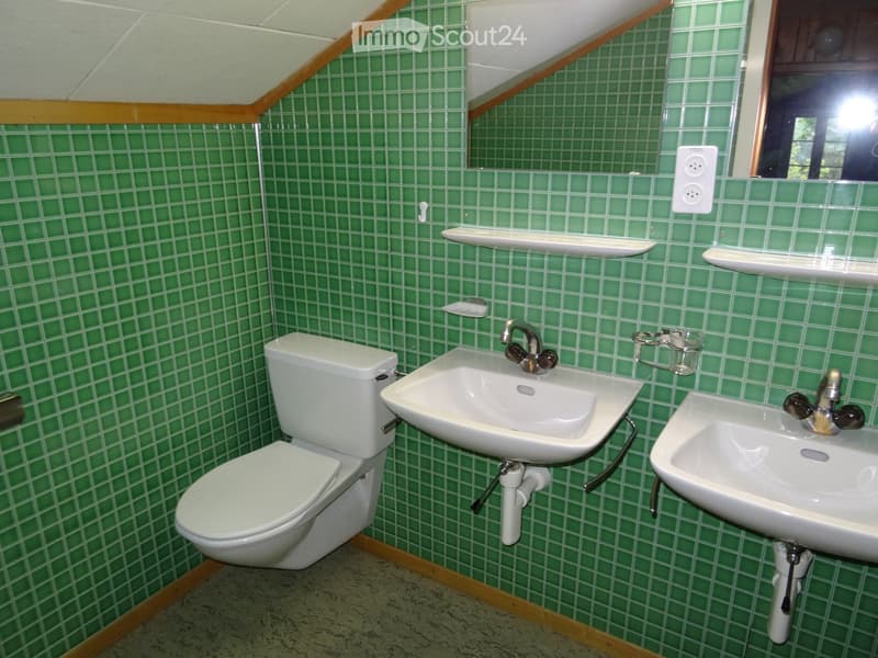 Bathroom with green tiled walls, white toilet, two sinks, and a mirror above one sink.