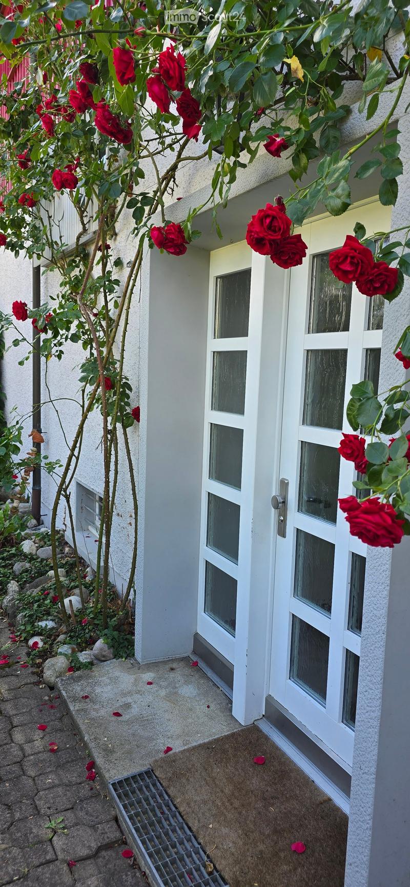 A small garden area with a white door, red roses climbing on the wall, and a concrete pathway.