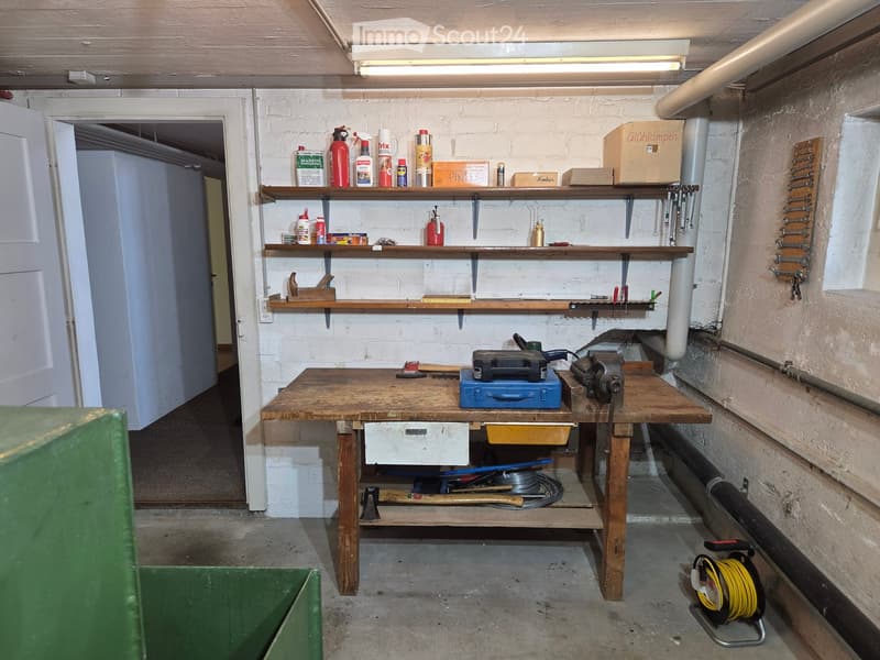 Workshop with a wooden workbench, shelves filled with tools and supplies, and a variety of equipment.