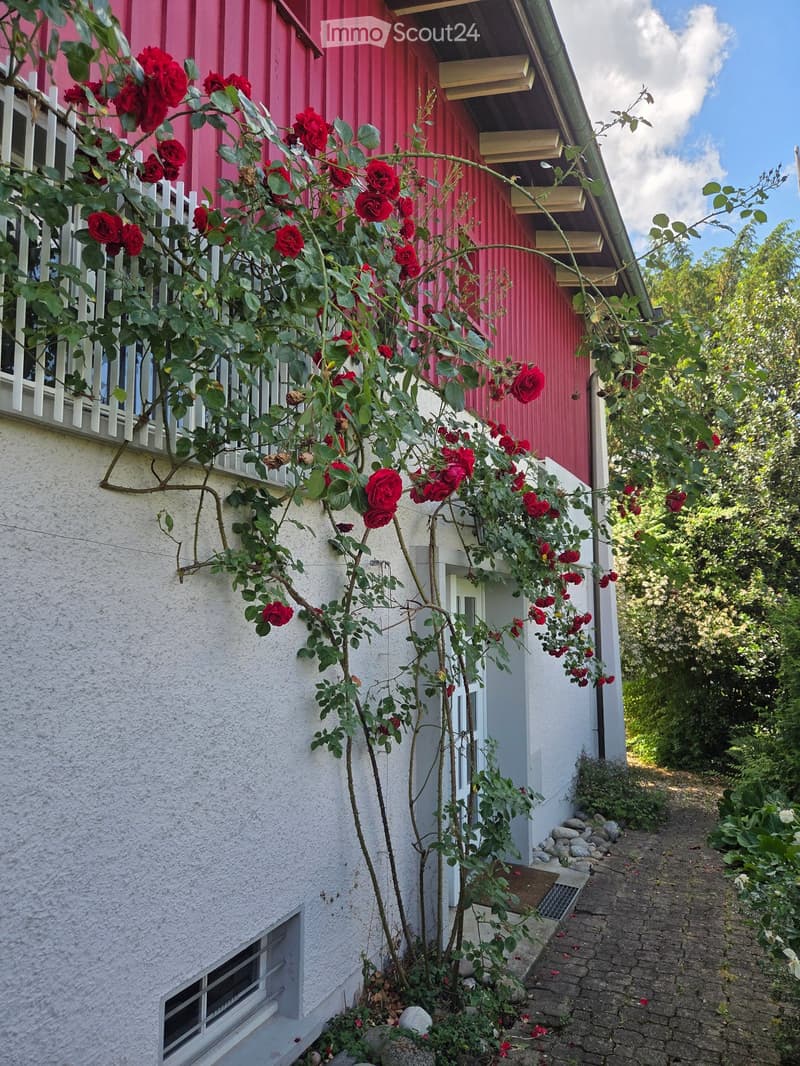 A two-story house with a white exterior wall, red door, and balcony adorned with red roses and greenery. The pathway is paved with bricks and surrounded by lush vegetation.