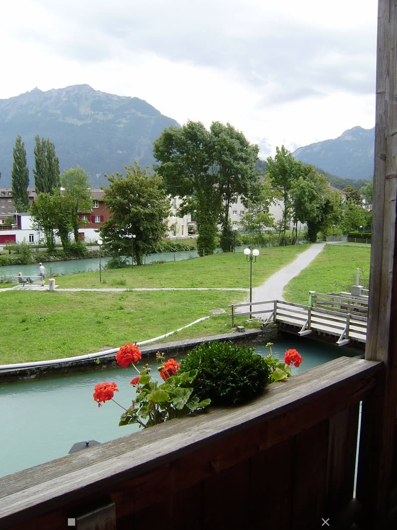 Balcony overlooking a serene river and green park area with distant mountains.
