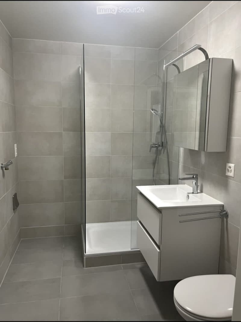Modern bathroom with grey tiles, a glass-enclosed shower, a white sink with a cabinet, and a toilet.
