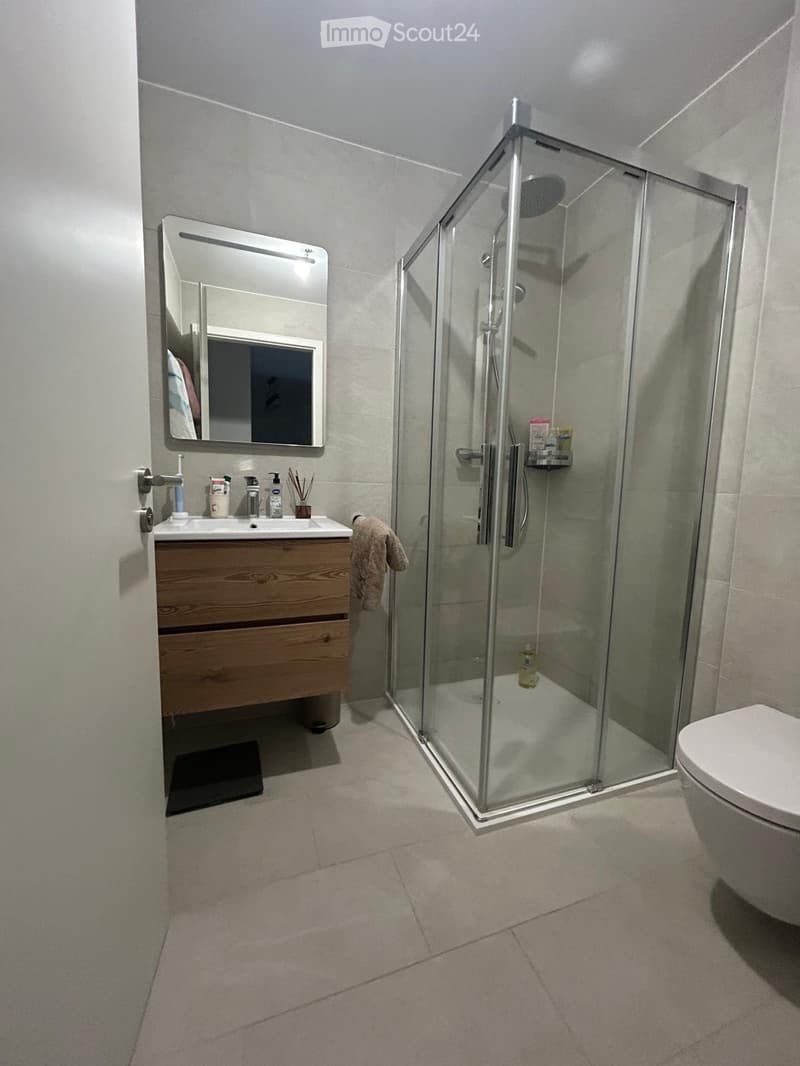 Modern bathroom with a wooden vanity, sink, mirror, glass shower enclosure, and toilet. Includes a towel and small shower shelf.