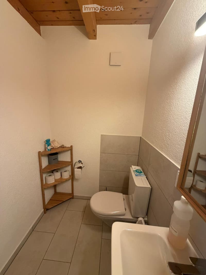 Small bathroom with a toilet, sink, mirror, and wooden shelf holding toilet paper and other items.