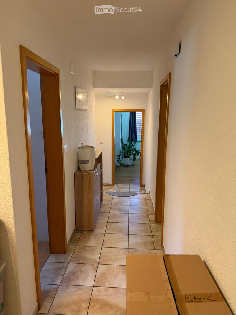 Hallway with tiled floor, wooden doors, small cabinet with air purifier, and a plant visible through an open doorway.