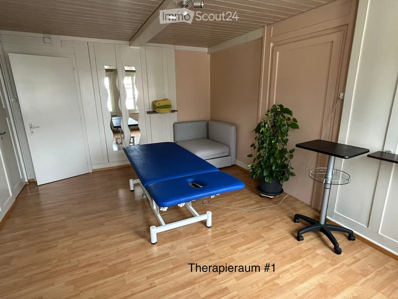 A therapy room with a wooden floor, a blue treatment table, a small grey sofa, a potted plant, and a black table with a glass top.