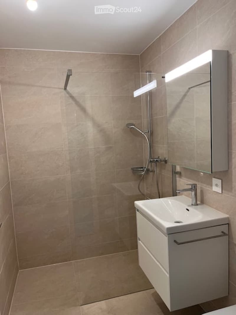 Modern bathroom with a white sink, mirror, and glass-enclosed shower area.