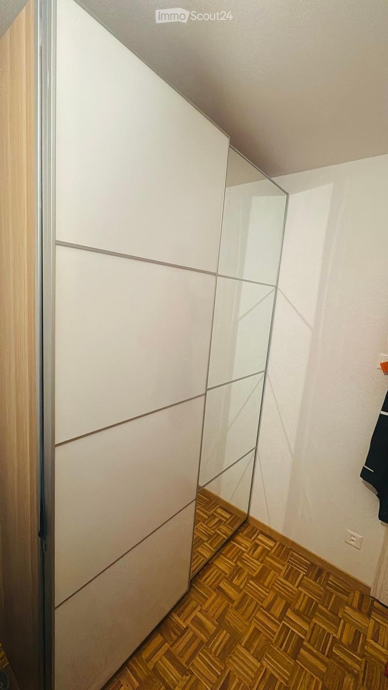 A narrow hallway with wooden herringbone flooring, white walls, and a large mirrored cabinet with glass panels.