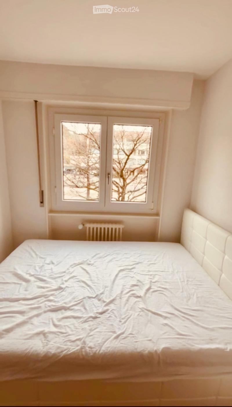 Minimalist bedroom with a single bed, white walls, and a large window with a view of trees.