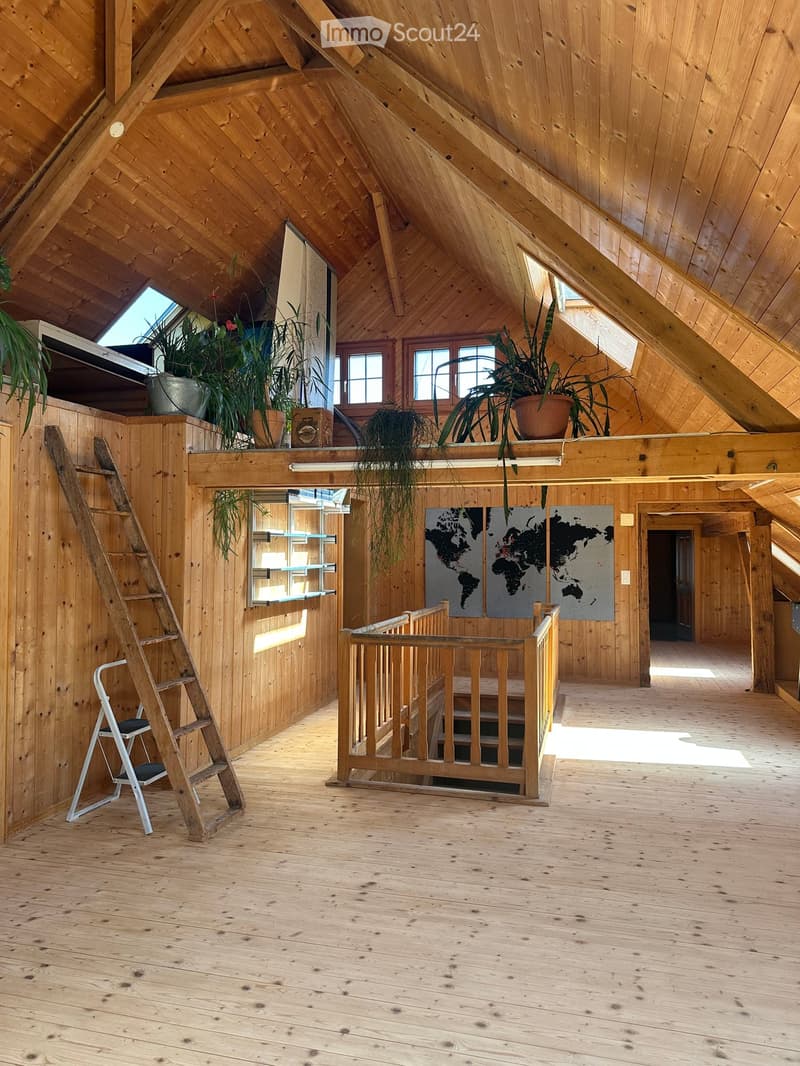 Spacious wooden loft with exposed wooden beams, wooden floor, staircase, ladder, shelves, world map, and potted plants on the balcony.