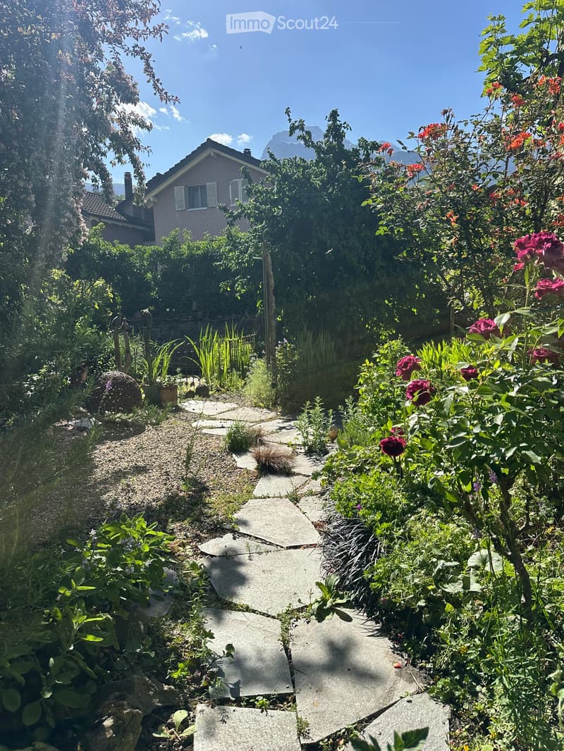 Garden with a stone pathway surrounded by various plants and flowers, with a house and mountains visible in the background.