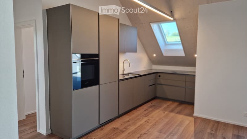 Modern kitchen with grey cabinets, wooden flooring, built-in oven, sink, and skylight window.