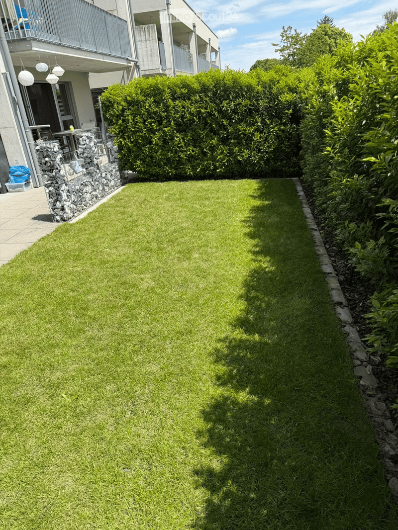 Well-maintained lawn bordered by neatly trimmed hedges and a stone wall, with a modern building and balcony visible in the background.