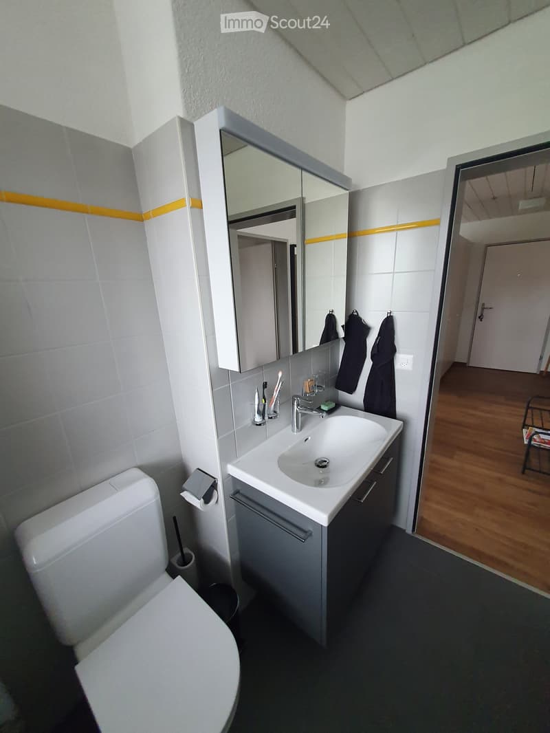 Bathroom with white tiles, a white toilet, a white sink, a mirror, and a cabinet. Towels are hanging on hooks, and toiletries are on the sink.