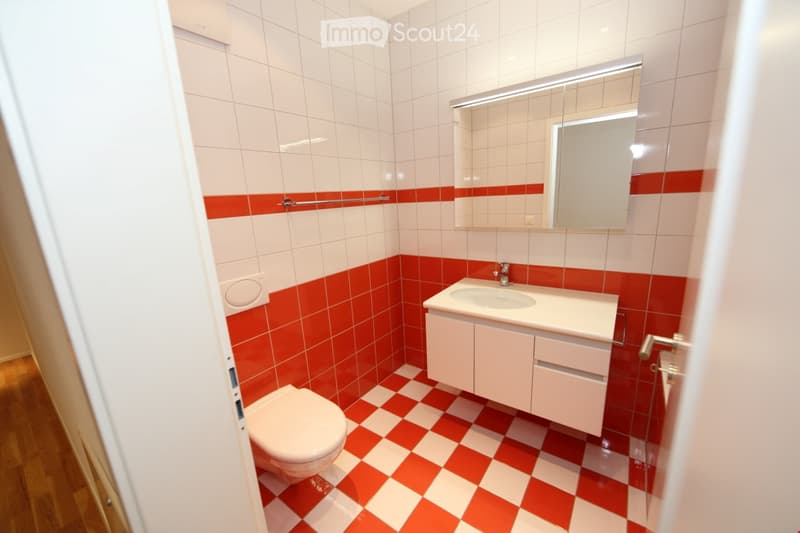 Modern bathroom with white and red tiles, a toilet, a sink with a cabinet, and a mirror above the sink.
