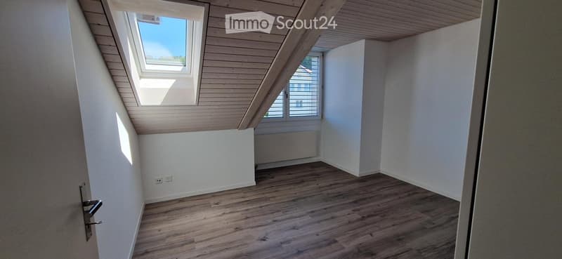 Appartement mansardé exclusif pour amateurs (5)