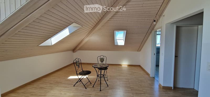 Appartement mansardé exclusif pour amateurs (3)