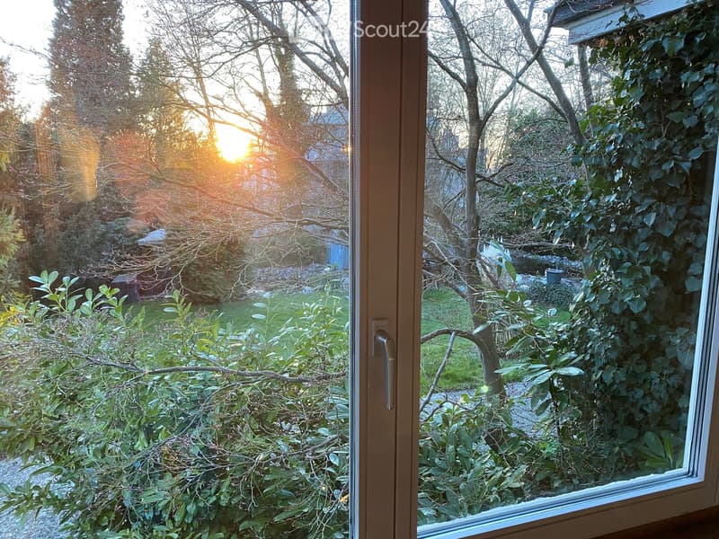 View through a window showing a garden with trees, shrubs, and a pathway, with sunlight streaming in from the left side.