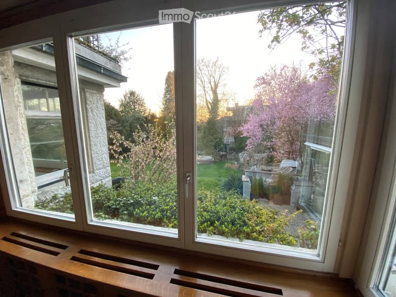 View from a window showing a well-maintained garden with various plants, trees, and a stone pathway.