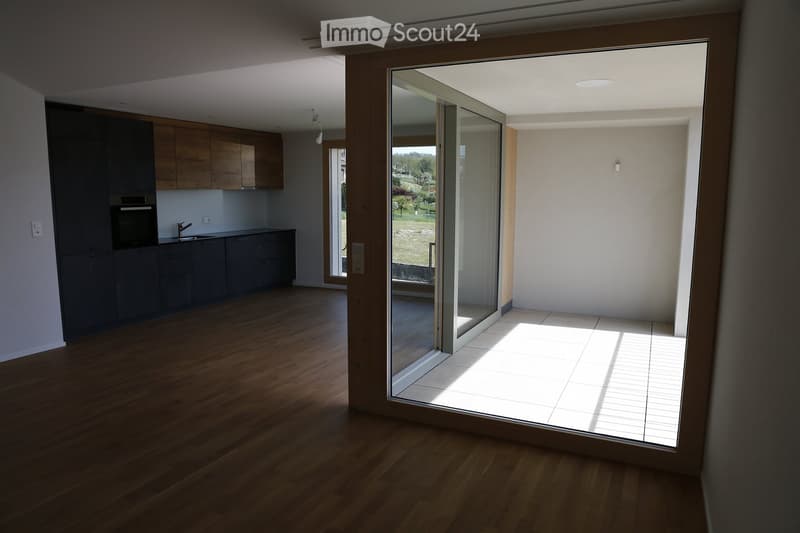 Modern kitchen with wooden cabinets, stainless steel sink, and oven, connected to a bright, sunlit living space through large glass doors.