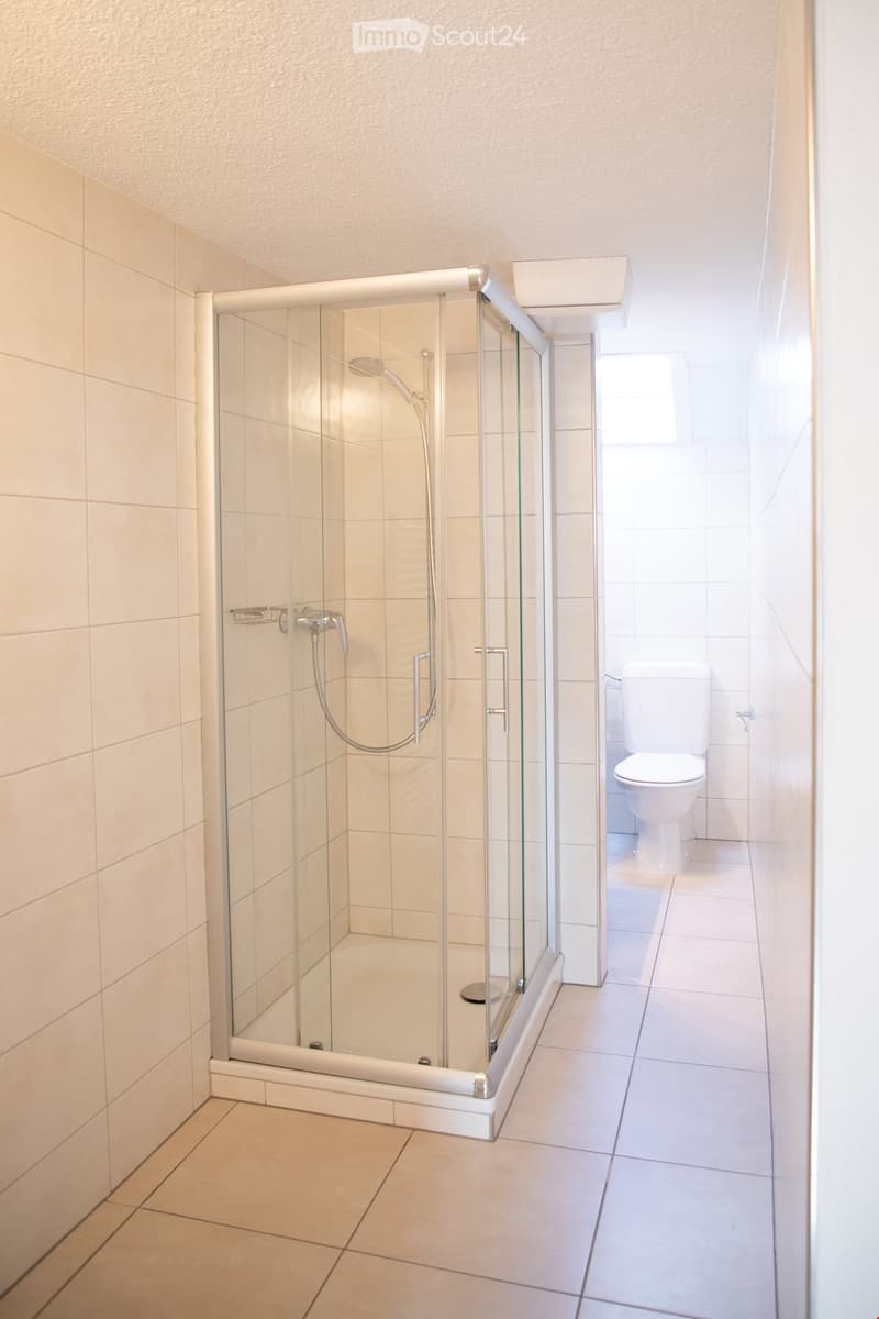 Modern bathroom with a glass-enclosed shower and a toilet. The shower features a handheld sprayer and a fixed showerhead. The walls and floor are tiled in neutral tones.