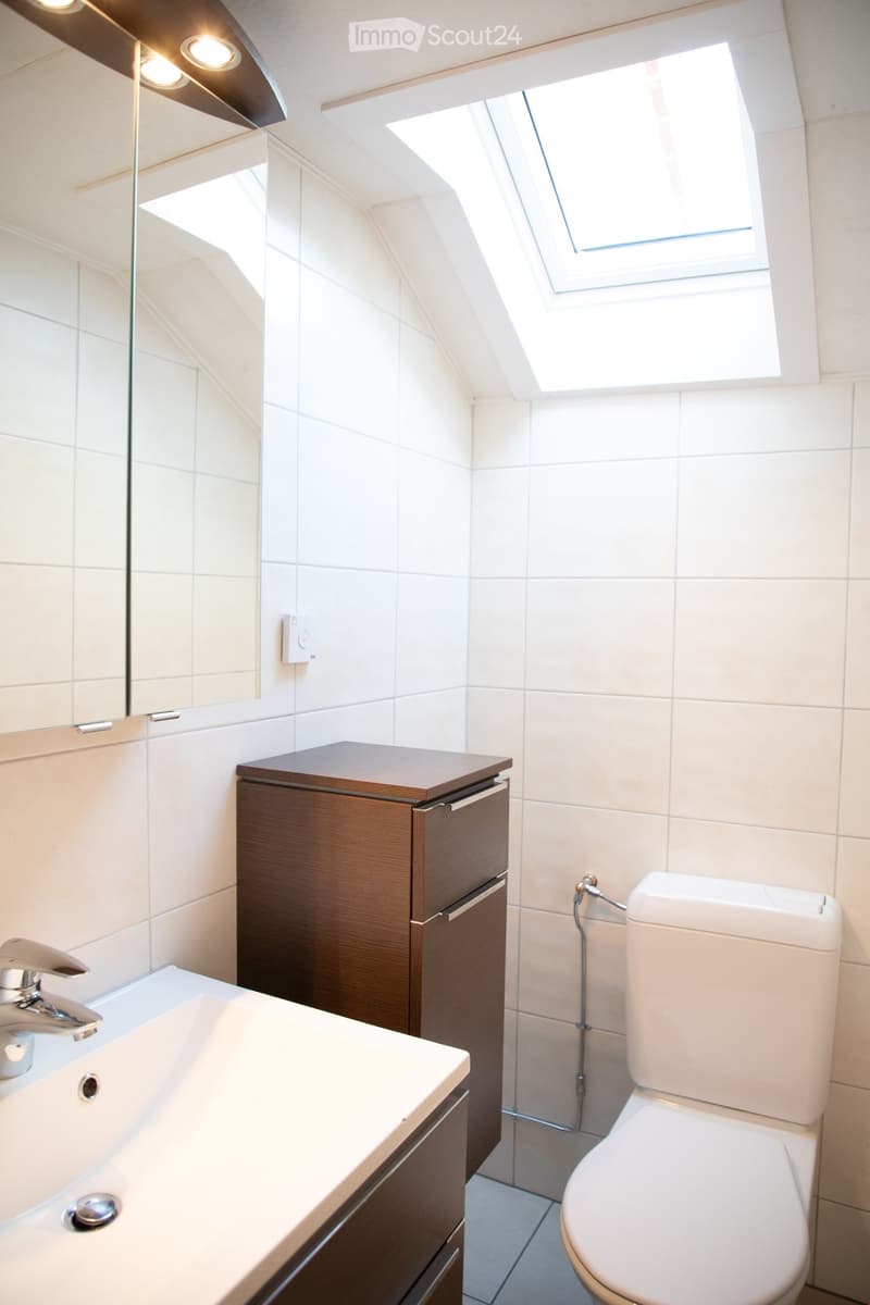 Modern bathroom with white tiles, a sink with a chrome faucet, a wooden cabinet, and a toilet. Features a skylight window and a large mirror.