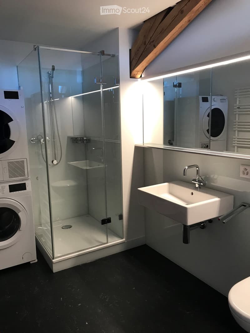 Modern bathroom with a glass-enclosed shower, white sink, washing machine, and radiator.
