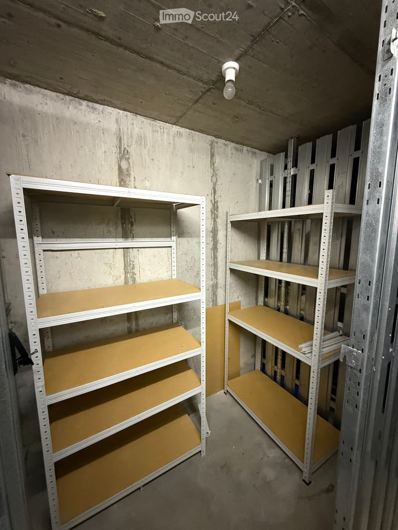 Empty storage room with concrete walls and ceiling, featuring two empty metal shelving units with wooden shelves.