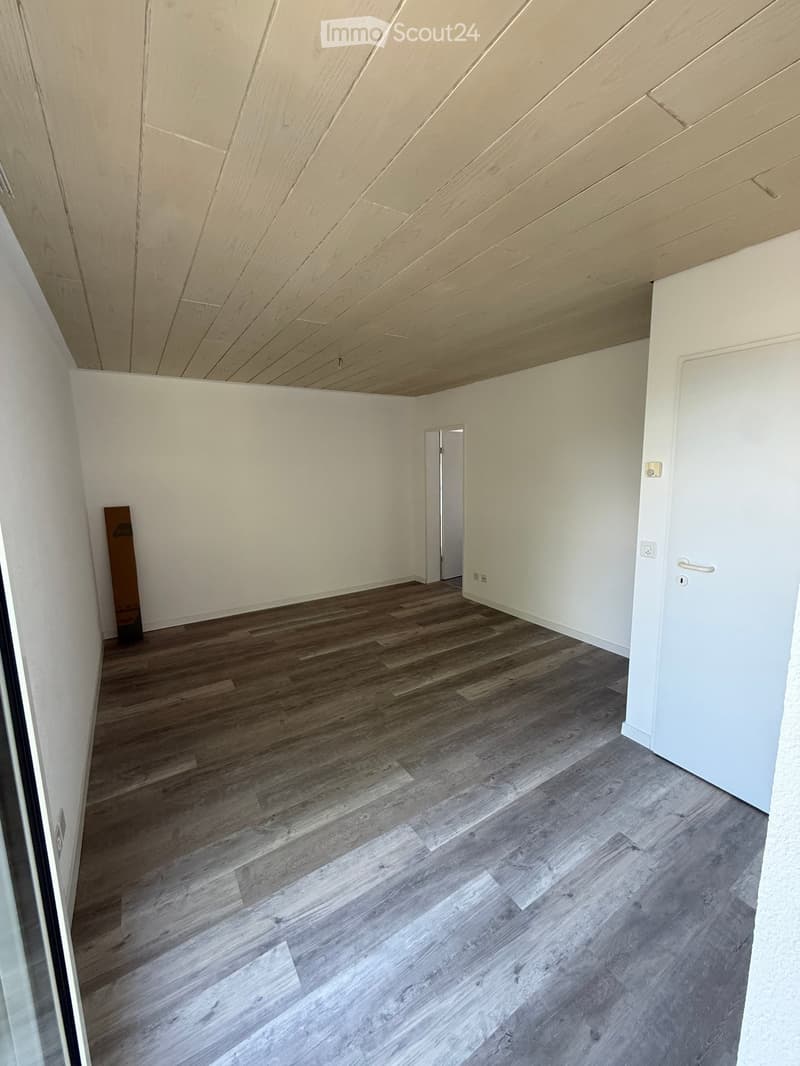 Empty room with wooden flooring, white walls, and a slanted wooden ceiling. Features a single door and a small wooden plank leaning against the wall.