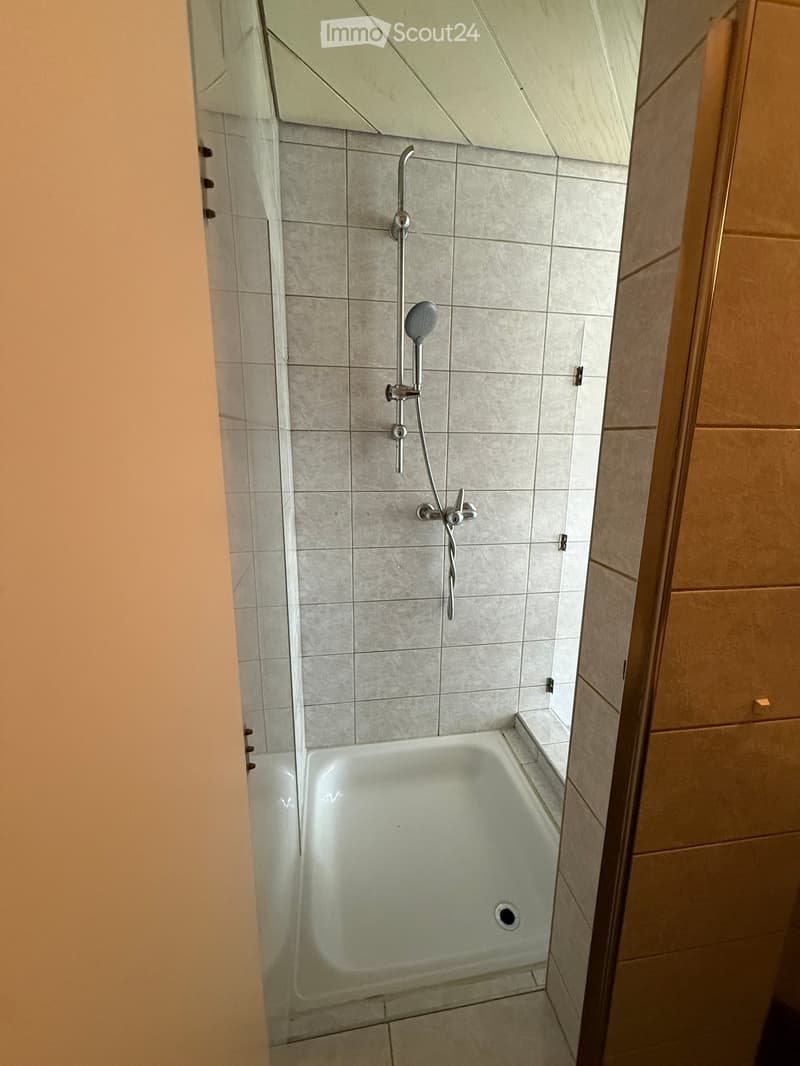Bathroom with a white bathtub, tiled walls, and a showerhead with a handheld sprayer.