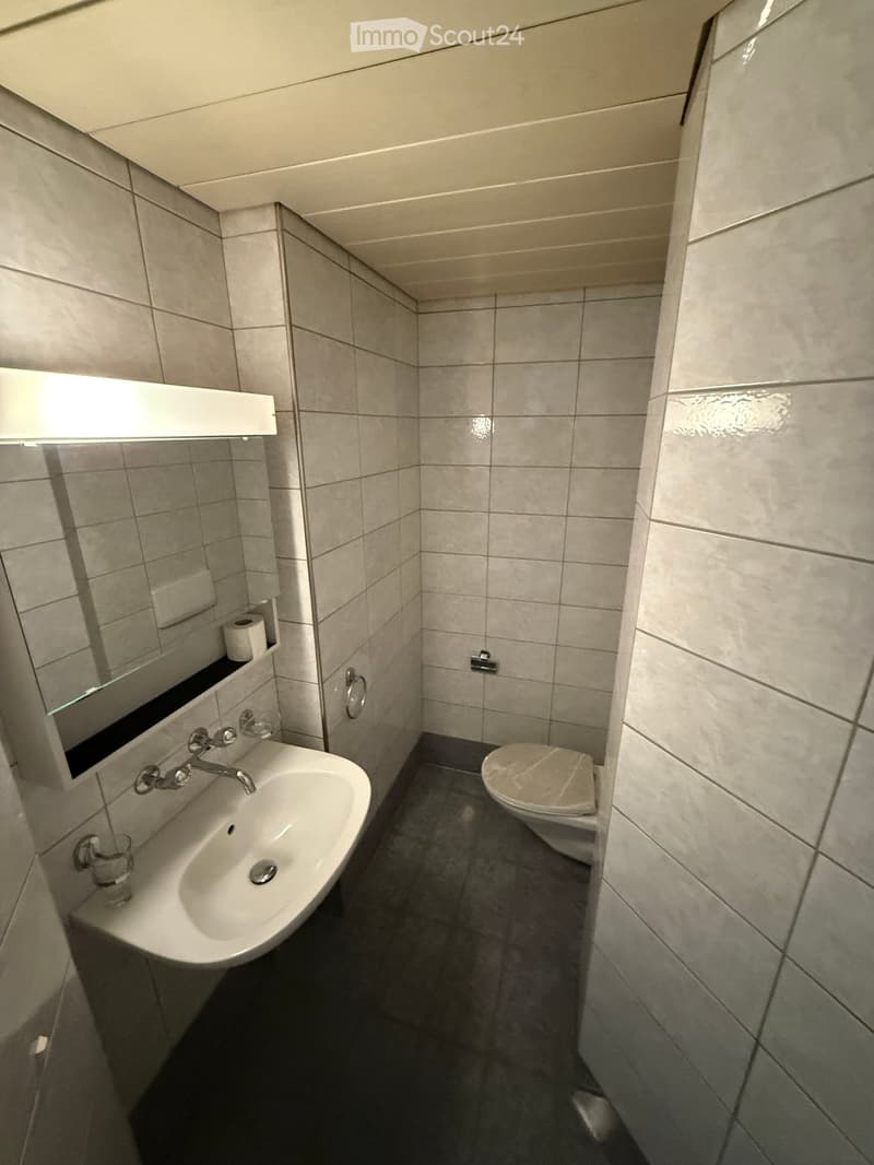 Small bathroom with a white sink, mirror, and toilet. The walls are tiled in light gray, and the floor is dark gray.