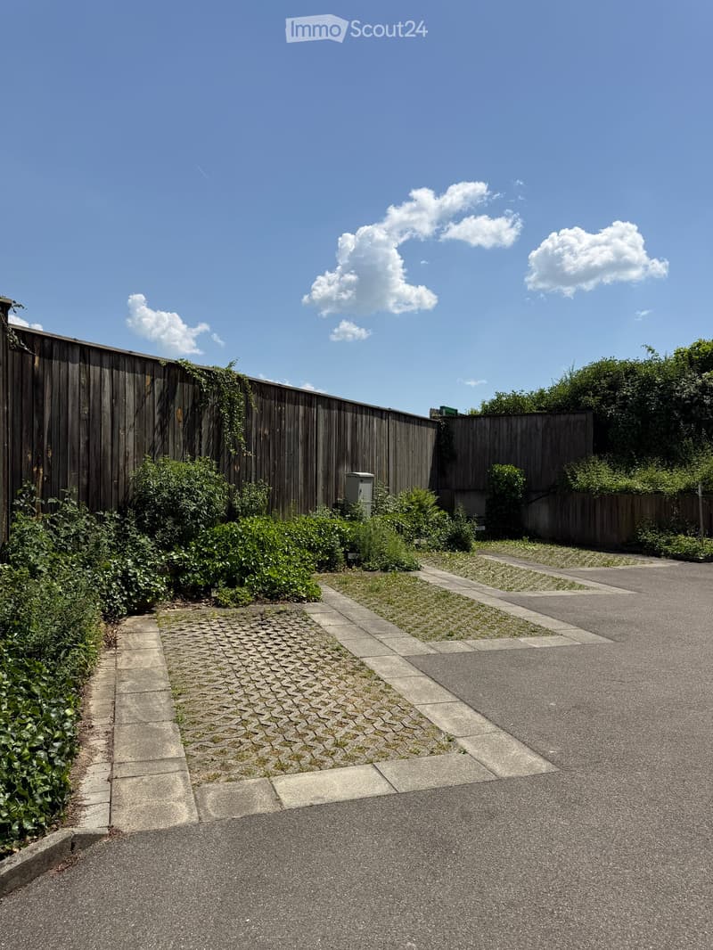 A paved driveway bordered by a wooden fence, with small patches of grass and bushes along the edge.