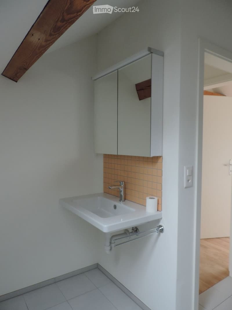 Modern, compact bathroom with a white sink, chrome faucet, mirrored cabinet, and a towel rack. The walls are painted light grey with a small section of orange tiles behind the sink.