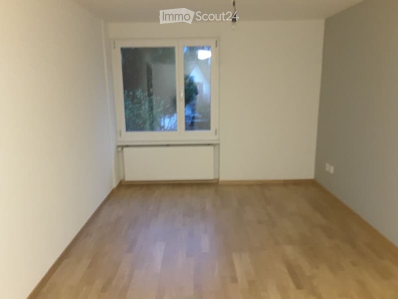 Empty room with wooden flooring, white walls, and a large window with a radiator below it.