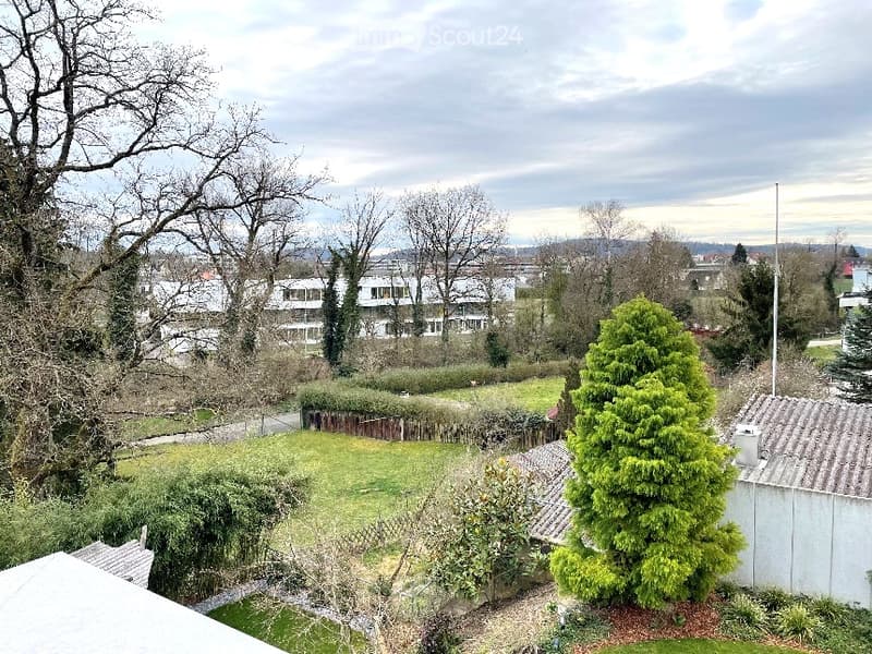 A well-maintained garden with a lawn, trimmed hedges, and a variety of trees, including a prominent conifer. The background shows a residential area with buildings and more greenery.