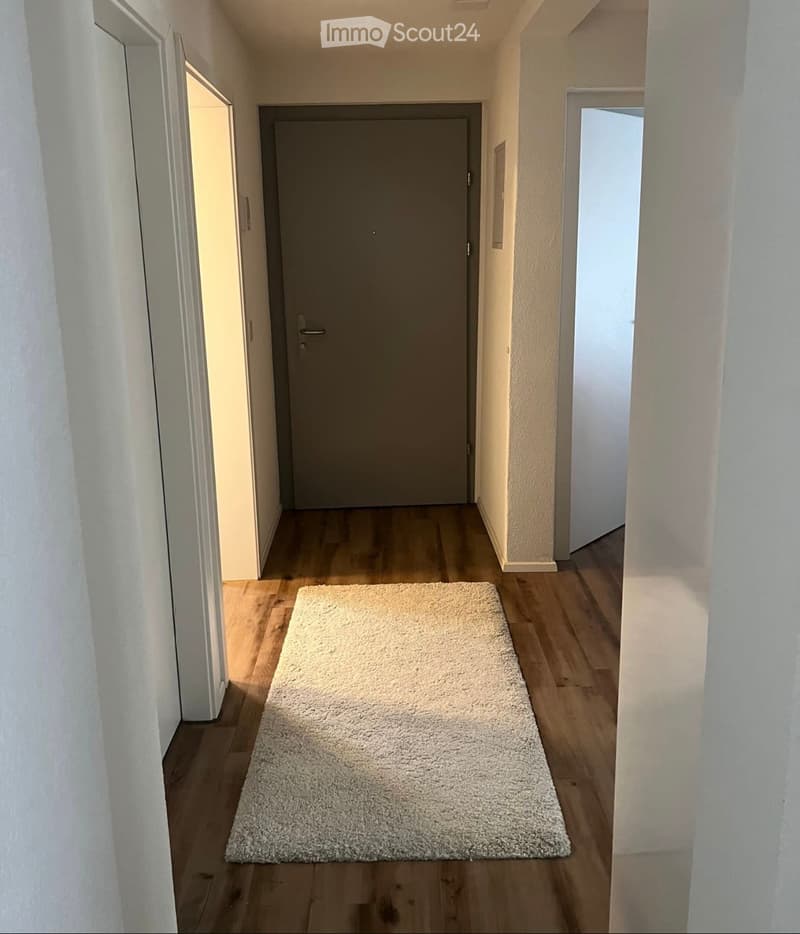 Corridor / Hallway. A clean, well-lit hallway with wooden flooring, white walls, and a single gray door at the end. A small white rug is placed on the floor.