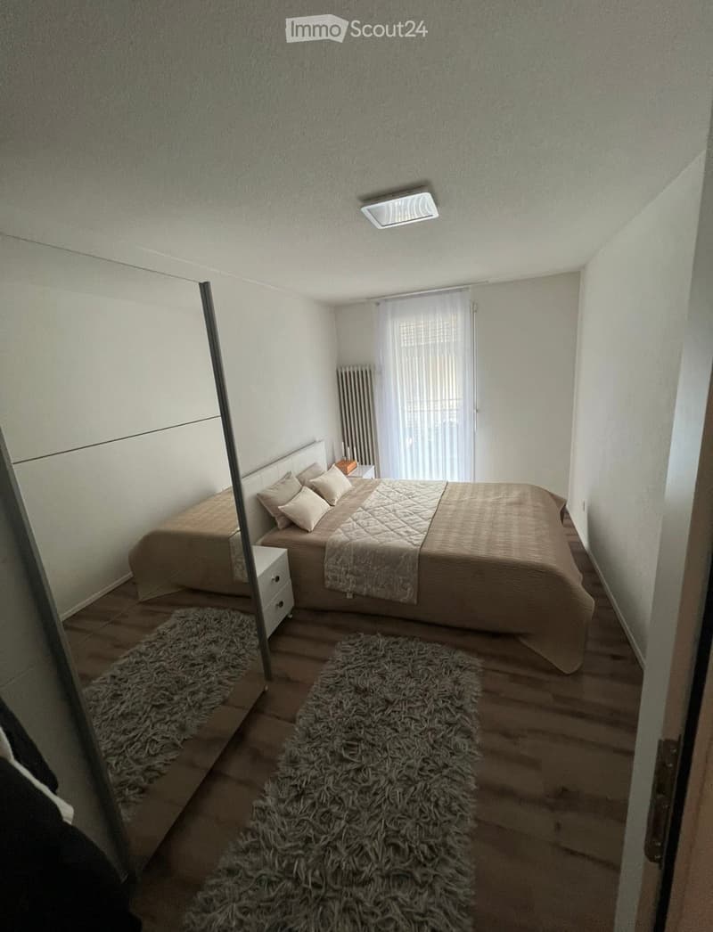 Bedroom. Modern bedroom with a large bed, nightstand, two fluffy rugs, radiator, and a large mirror on the wall.