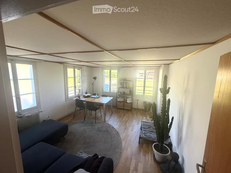 Bright living and dining area with wooden flooring, large windows, a sofa, dining table with chairs, a shelf, and a potted cactus.