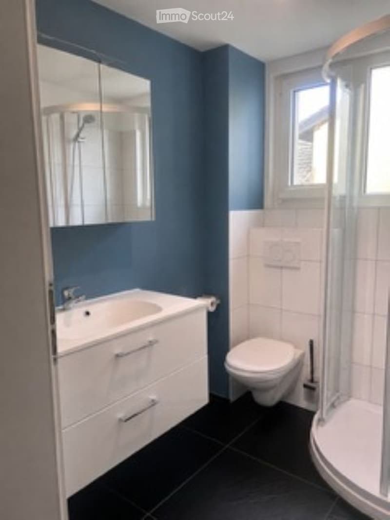 Modern bathroom with blue walls, white cabinetry, black tiled floor, and a glass-enclosed shower.
