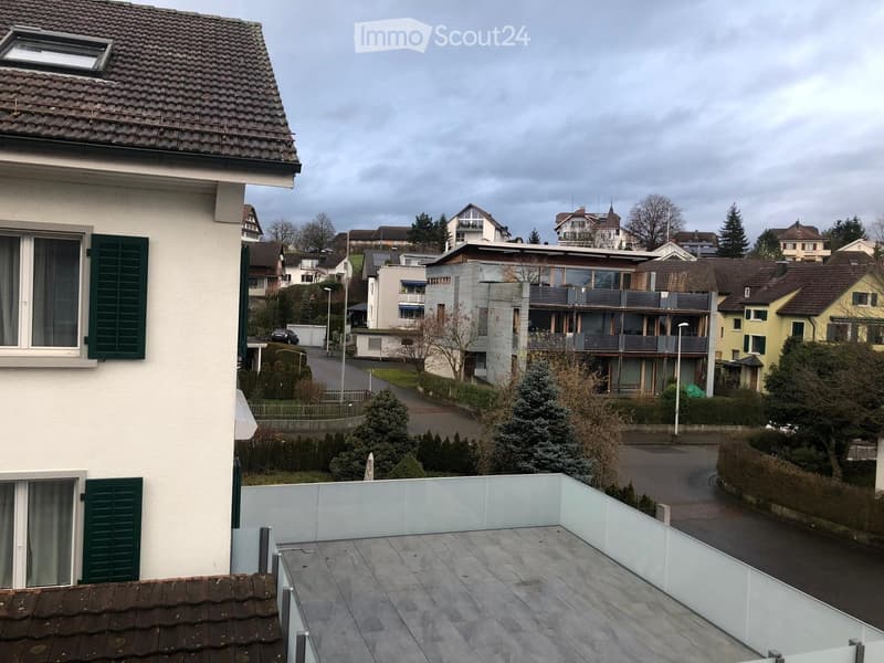 View from a rooftop terrace overlooking a residential neighborhood with multiple houses, trees, and a road.
