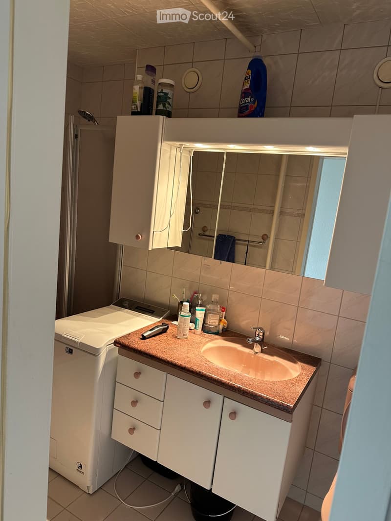 Bathroom with a sink, faucet, cabinet, mirror, shower, washing machine, and various toiletries on the counter.